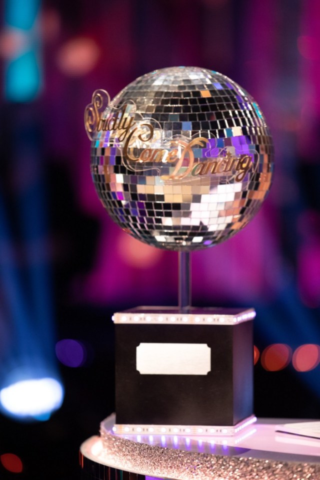 The official Strictly Come Dancing light and disco glitter ball went for a pretty penny at auction