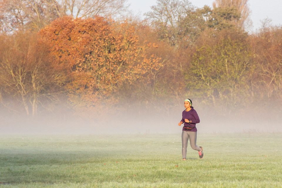 There'll be plenty of frost on the ground during late nights and mornings next week