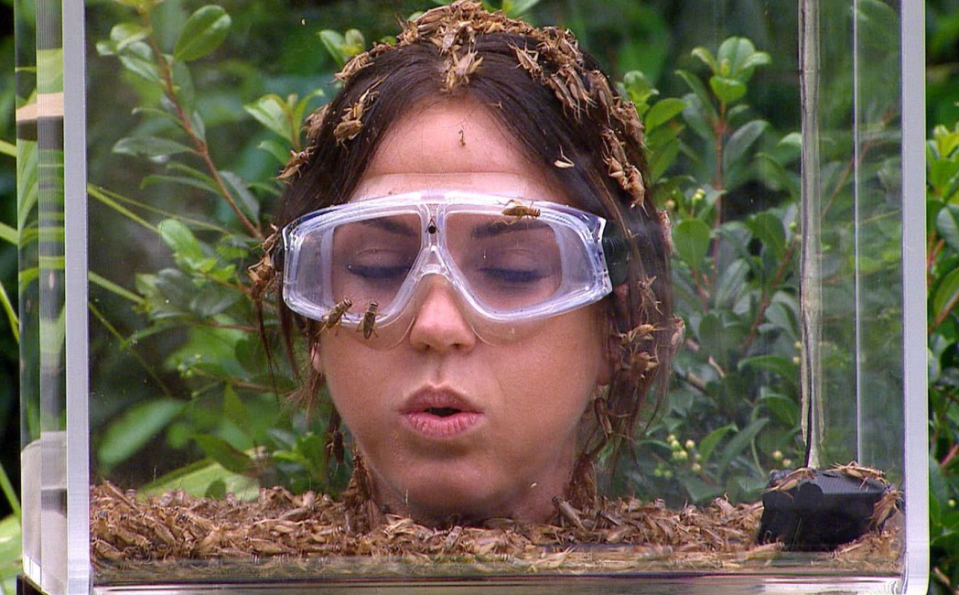 I'm A Celebrity viewers have been urged to boycott the show because of its Bushertucker trials