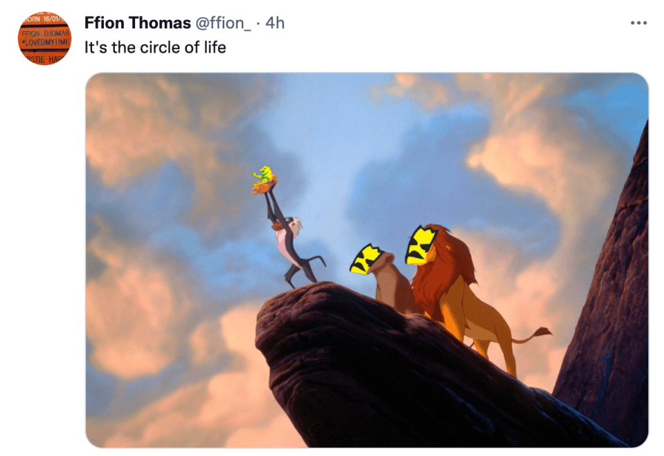 Some fans made fun of the original lion by photoshopping it onto an image from the Lion King