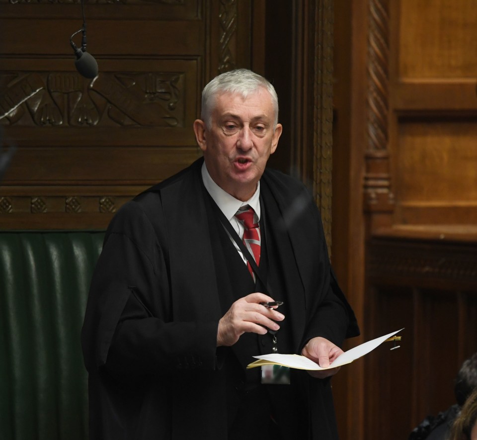 Commons Speaker Sir Lindsay Hoyle admitted he had been heavily ­lobbied by other MPs who are mothers, calling on him to ‘not give in’ by changing the rules