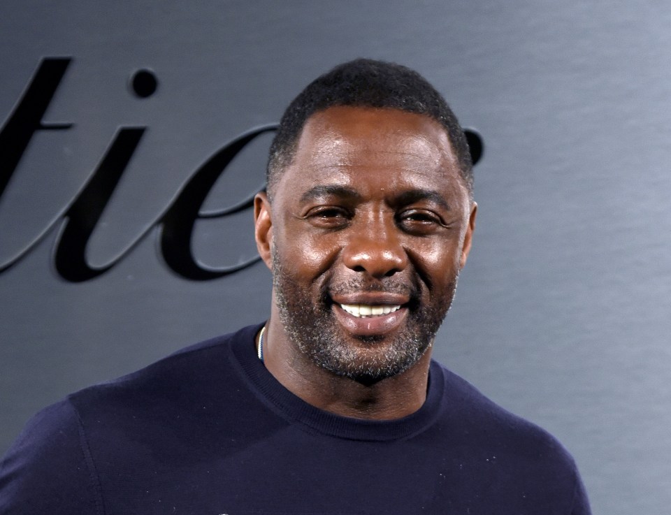 Idris Elba is in talks to star in the next James Bond film - but as a VILLAIN not 007