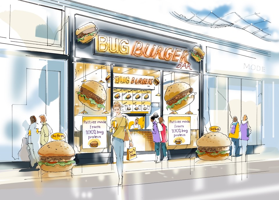 You could be dining out at Bug Burger stores very soon