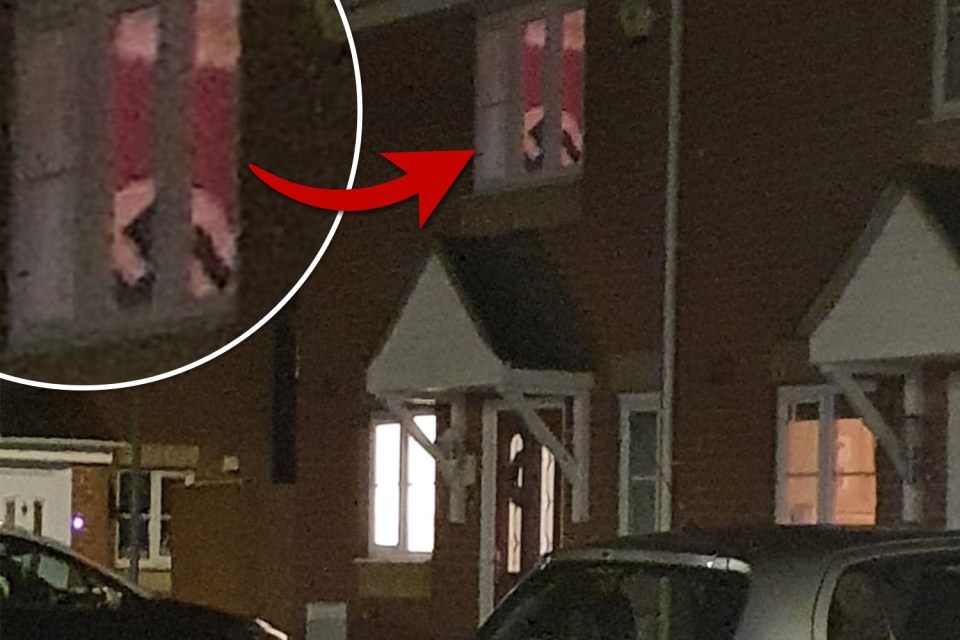 Shocked neighbours called counter-terror cops after a mum hung a Nazi swastika flag in her bedroom