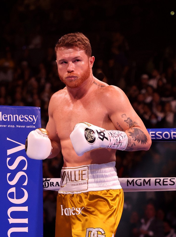 Canelo Alvarez was called out by Jake Paul