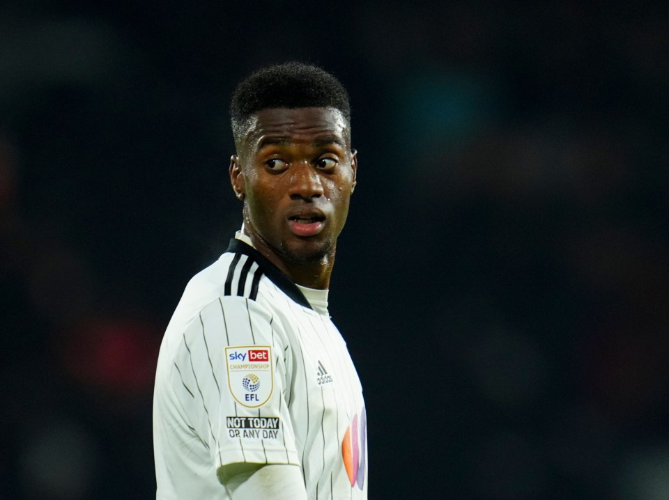 Newcastle have got their eyes on Fulham centre-back Tosin Adarabioyo