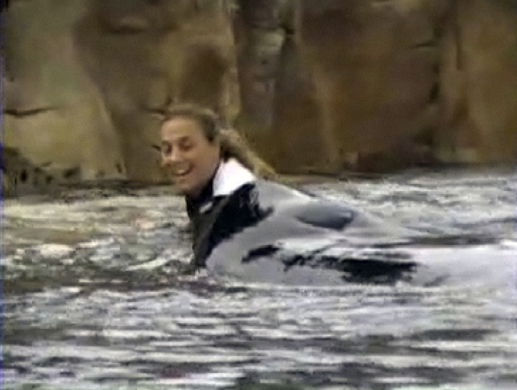 Dawn was a highly-respected and well-liked senior trainer at SeaWorld who was pulled in from the side of the pool by Tilikum