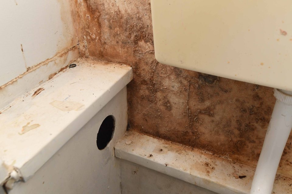 Mould can spread and cause health problems