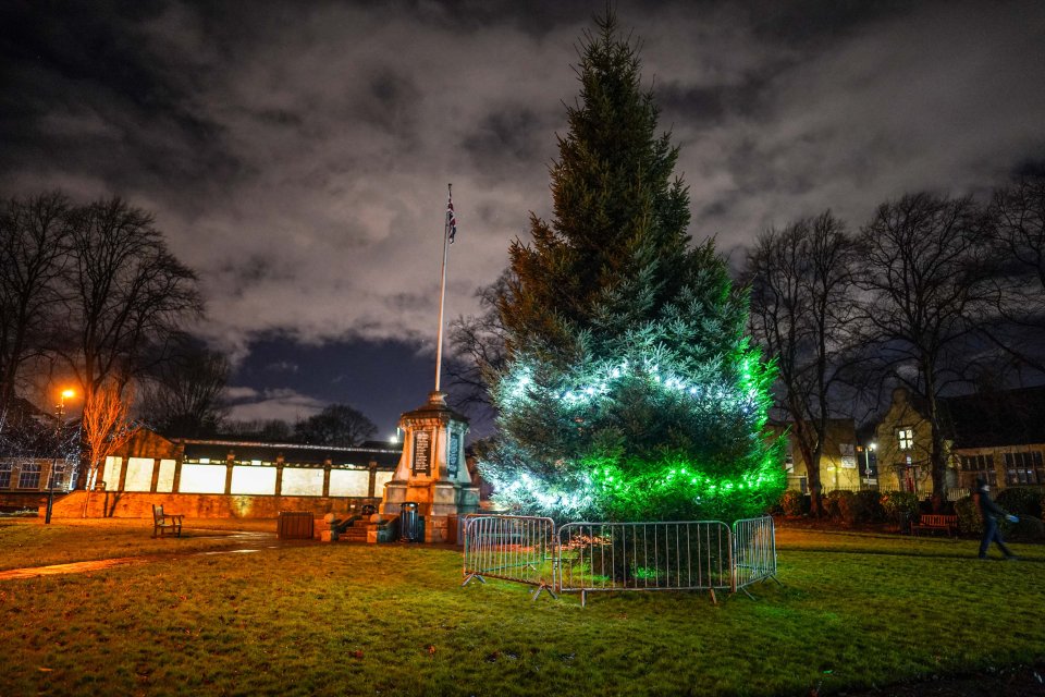 The tree has been branded a 'shambles' by locals