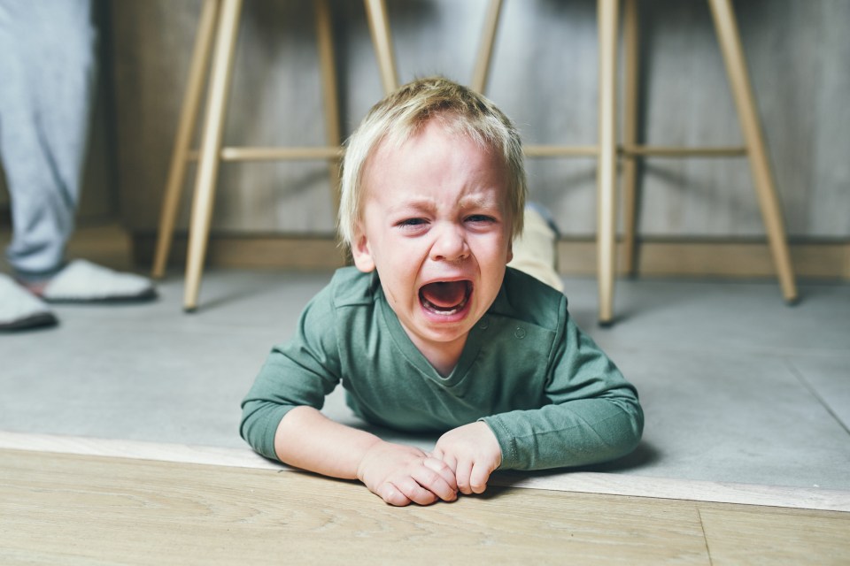 Meltdowns are likely, but there are certain ways you can deal with them