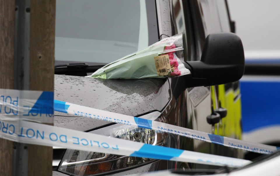 Police were called to reports of a disturbance in Austins Mead, Bovingdon