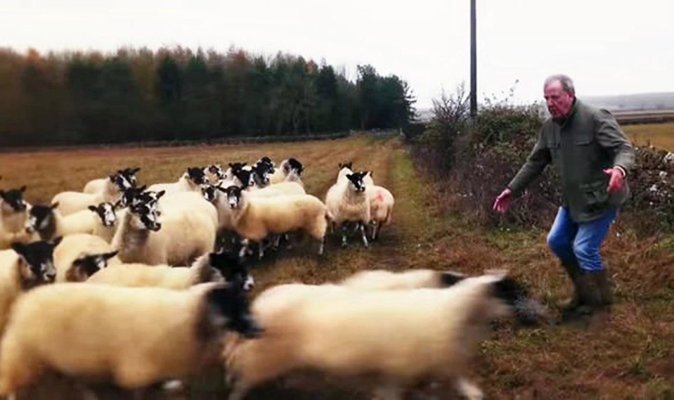 Jeremy Clarkson showing his work ethic as he tangles with sheep in Clarkson's Farm