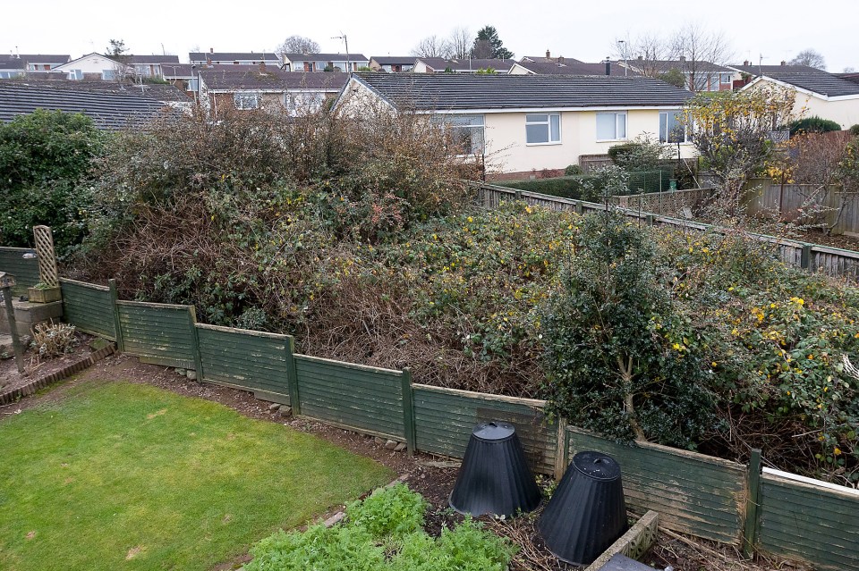 The shrubbery and plants have overgrown the semi-detached bungalow