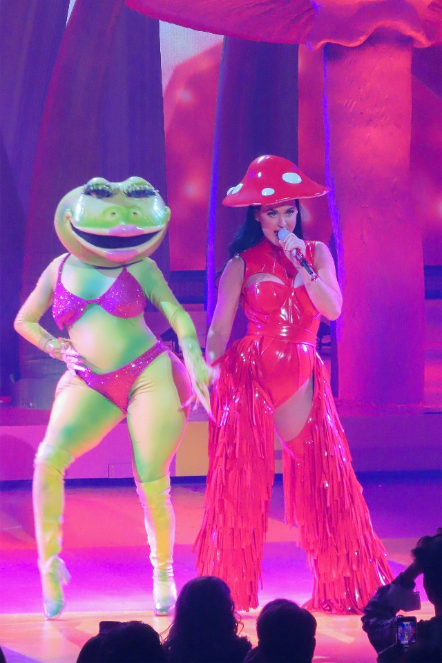 Katy boogied with a bikini-clad frog