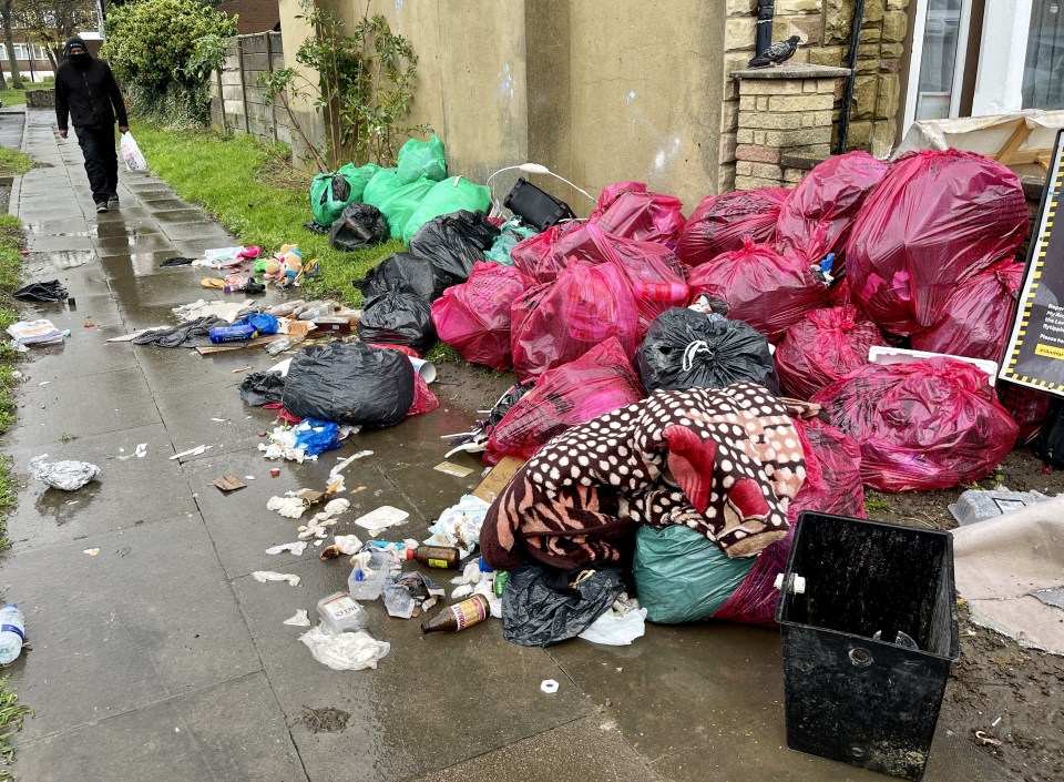 One neighbour said a gang of louts are 'putting foxes out of business' by combing through bins