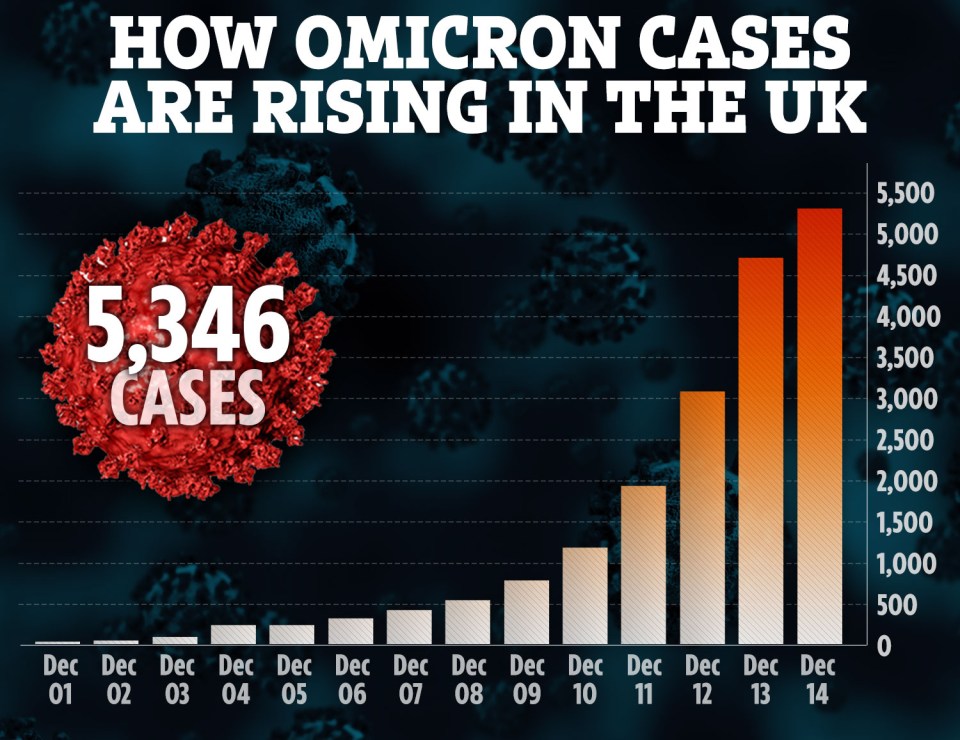 Panicked ministers in Westminster are terrified the super-infectious Omicron will rip through Britain