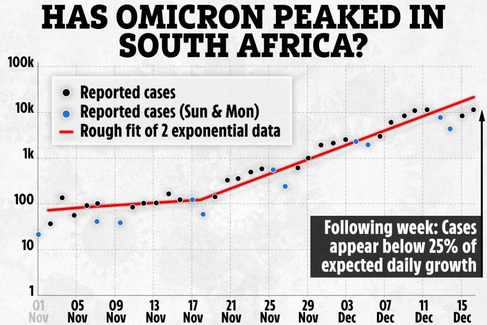 The chart above shows how cases of Omicron in Gauteng province had climbed steadily in November. Cases continued to climb at the beginning of December and then by mid December seemed to have flattened out