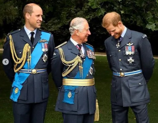 Prince Charles has praised his sons’ work on environmental issues and said that the planet needs to go on a 'war-like footing' to defeat climate change