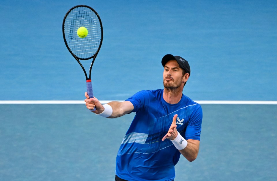 Murray was knocked out of the Australian Open after losing in straight sets