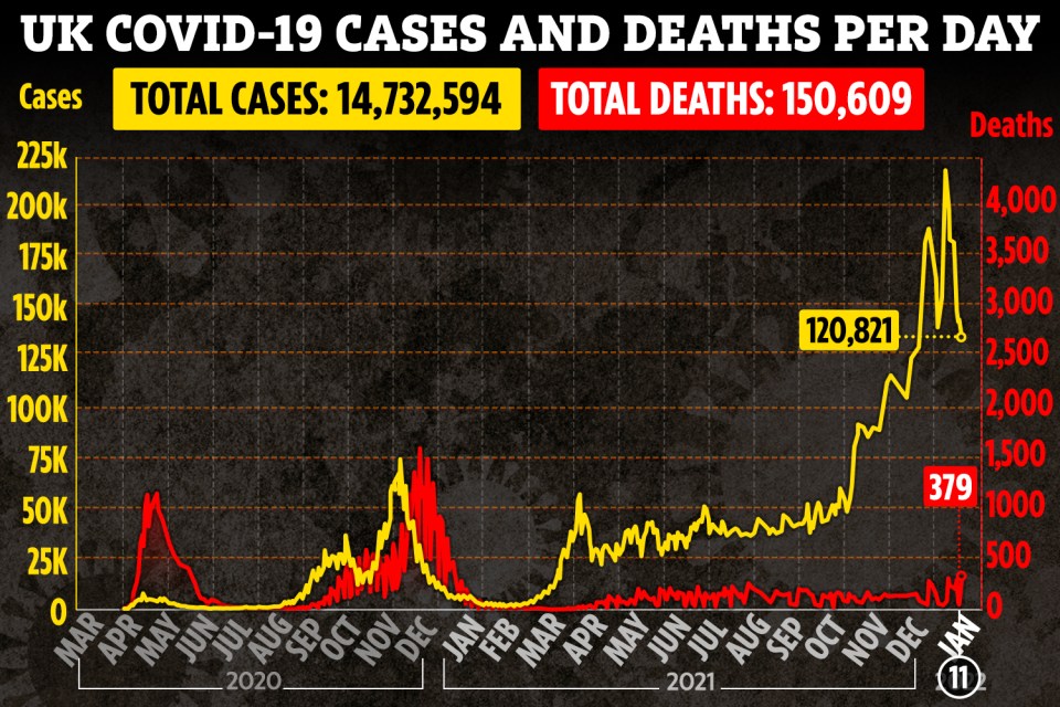 Cases and deaths over the pandemic