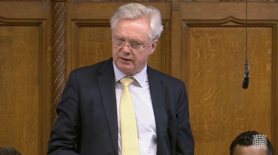 David Davis urged the PM to resign in a shock Commons speech