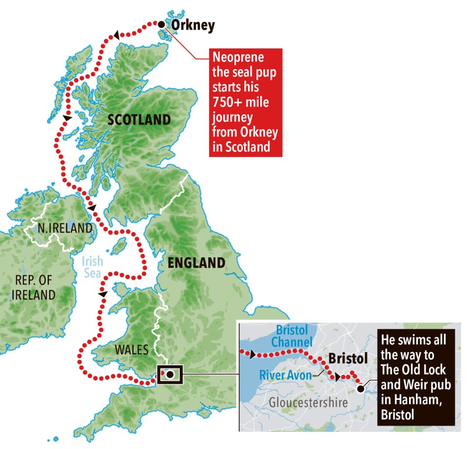 The lengths some go for a pub trip... the pup's route, above