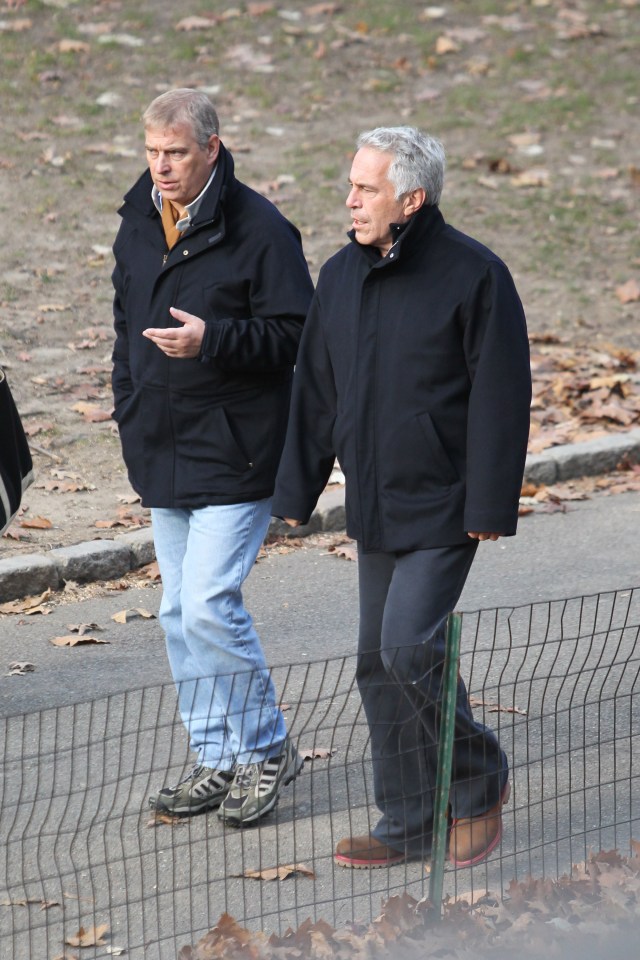 Andrew and Epstein go for a stroll together through New York's Central Park