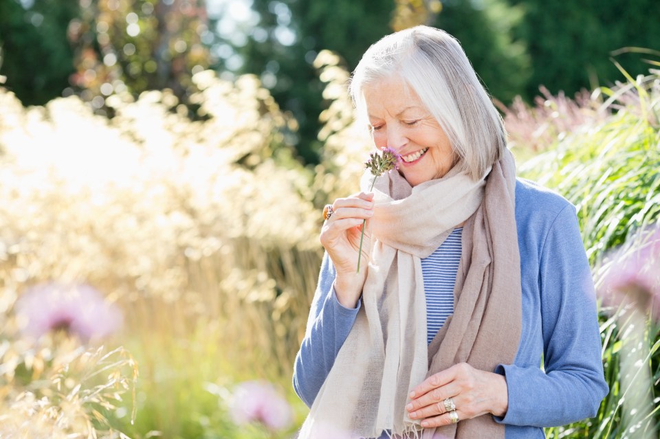 Various studies have shown that there is a link between smell and the development of Dementia and Alzheimer's