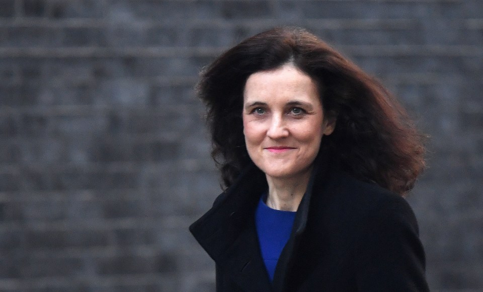 Former Tory cabinet minister Theresa Villiers said OVO's advice was 'pretty insensitive'