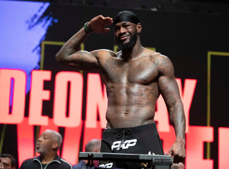 Deontay Wilder has not returned since defeat by Tyson Fury in their trilogy