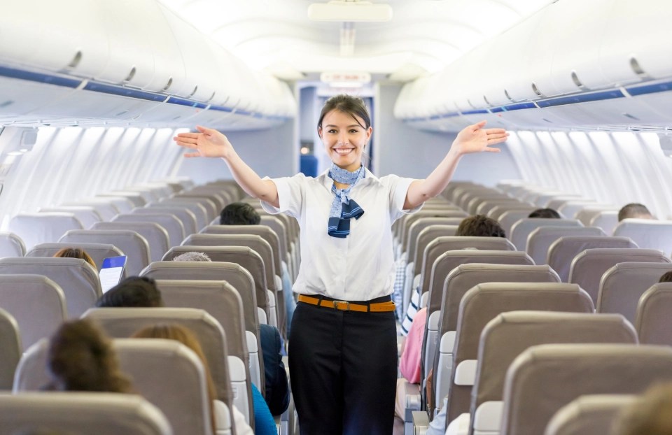 Flight attendants often have to put up with rude passengers, while remaining professional