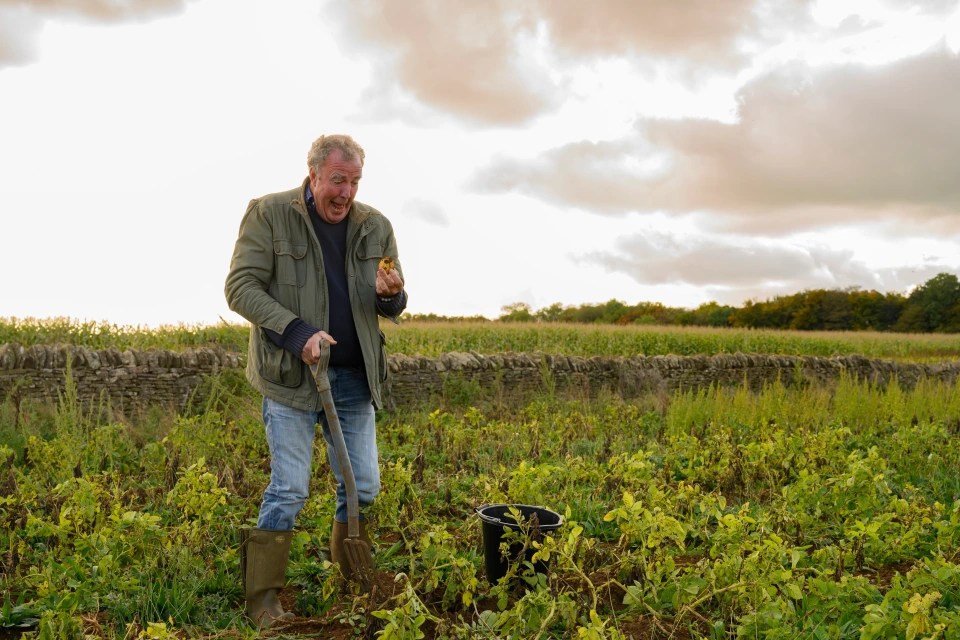 Clarkson's Farm is available to stream on Amazon Prime