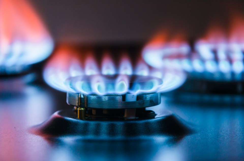 Wholesale gas price rises could be covered by the government instead of customers