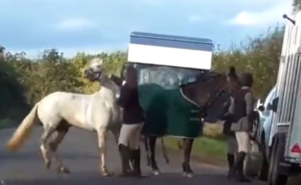 The shocking footage shows the female rider kicking and punching the horse