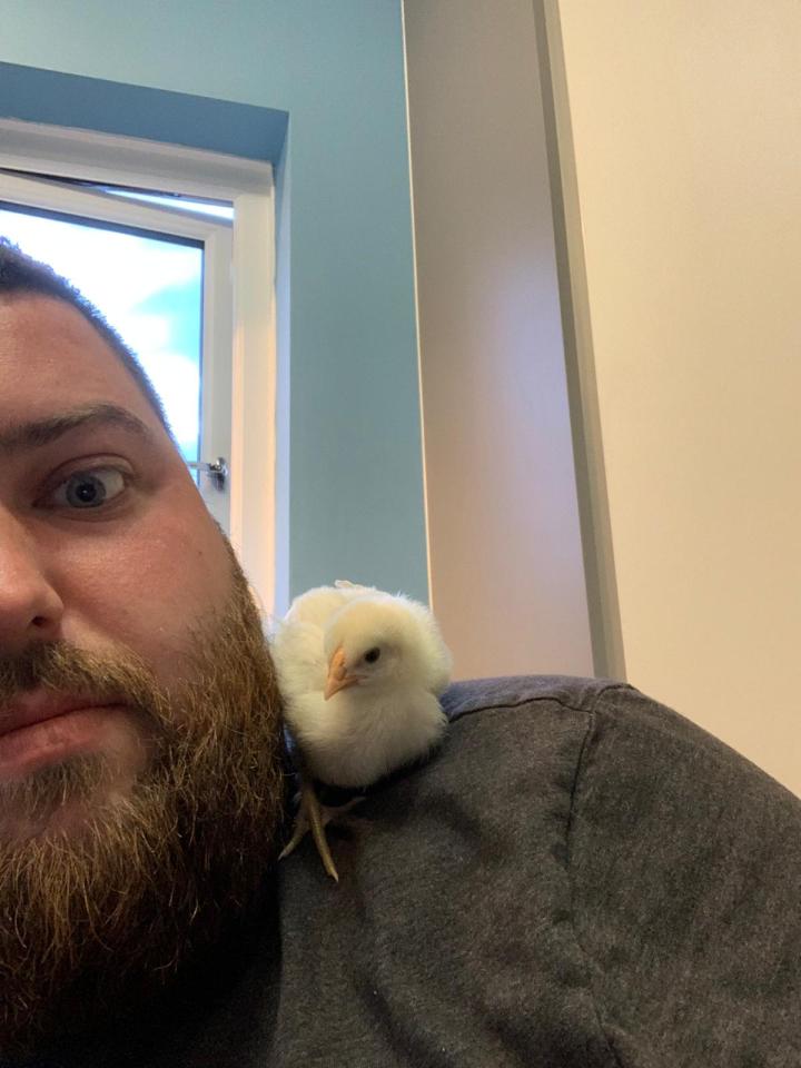 A chick rests on Smith's shoulder