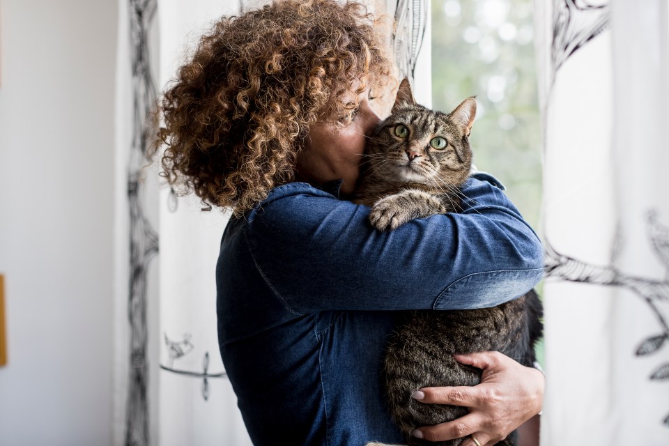 The energy company advised people to 'cuddle their cat' to stay warm