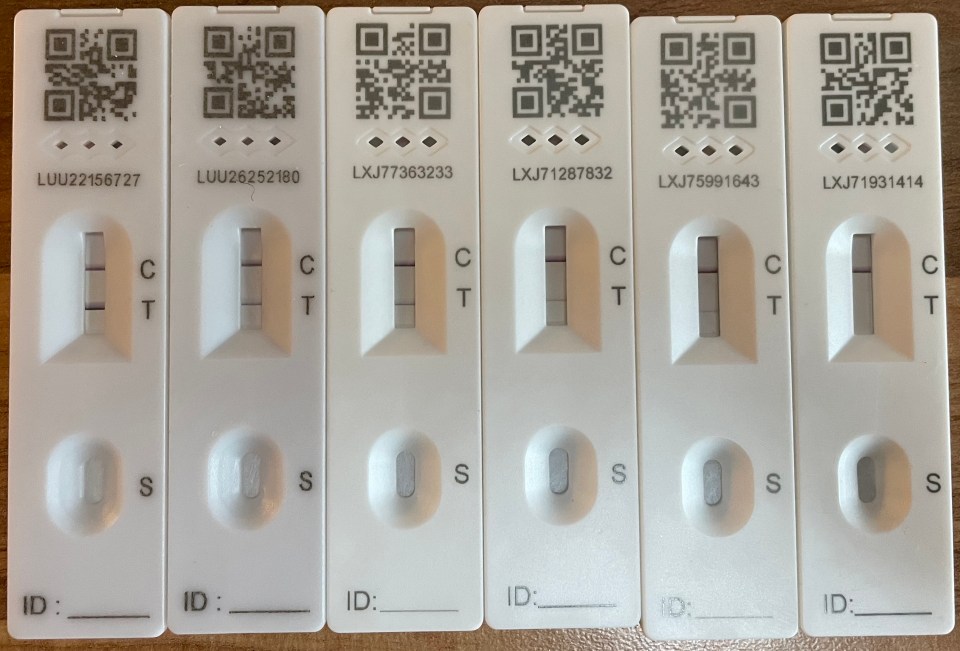 Examples of the types of results you can get on a lateral flow test kit