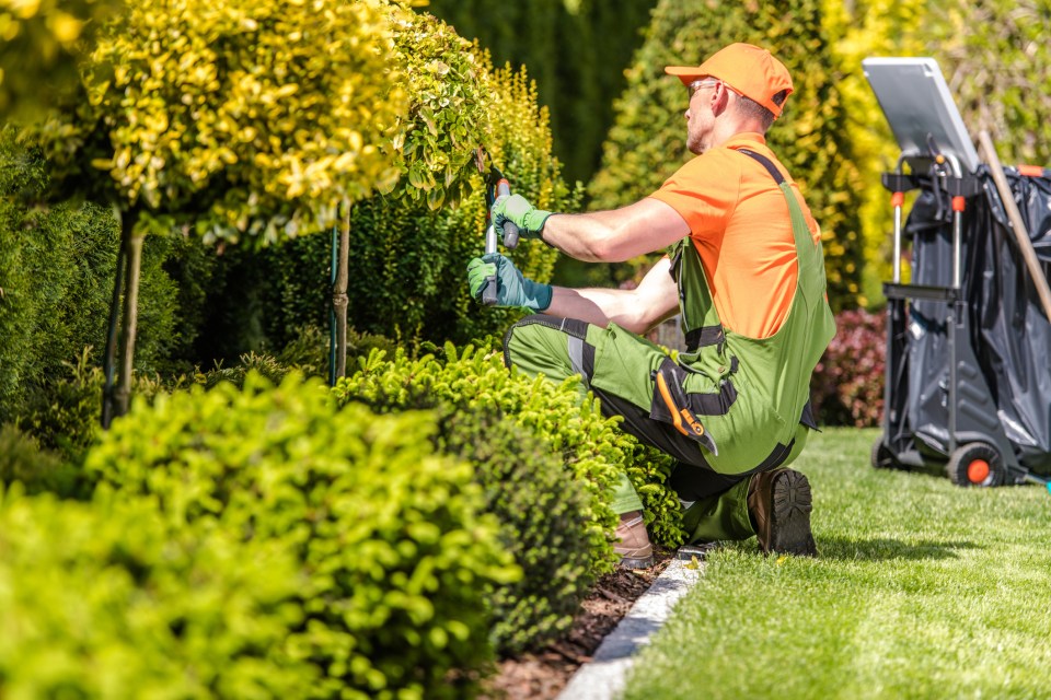 A makeover on even a small garden can cost around £5,000