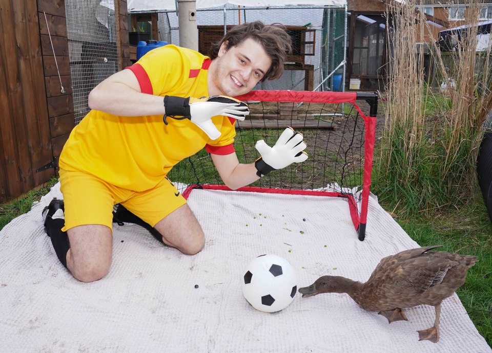 Echo the duck loves to play football after being taught by her owner at 10 weeks old