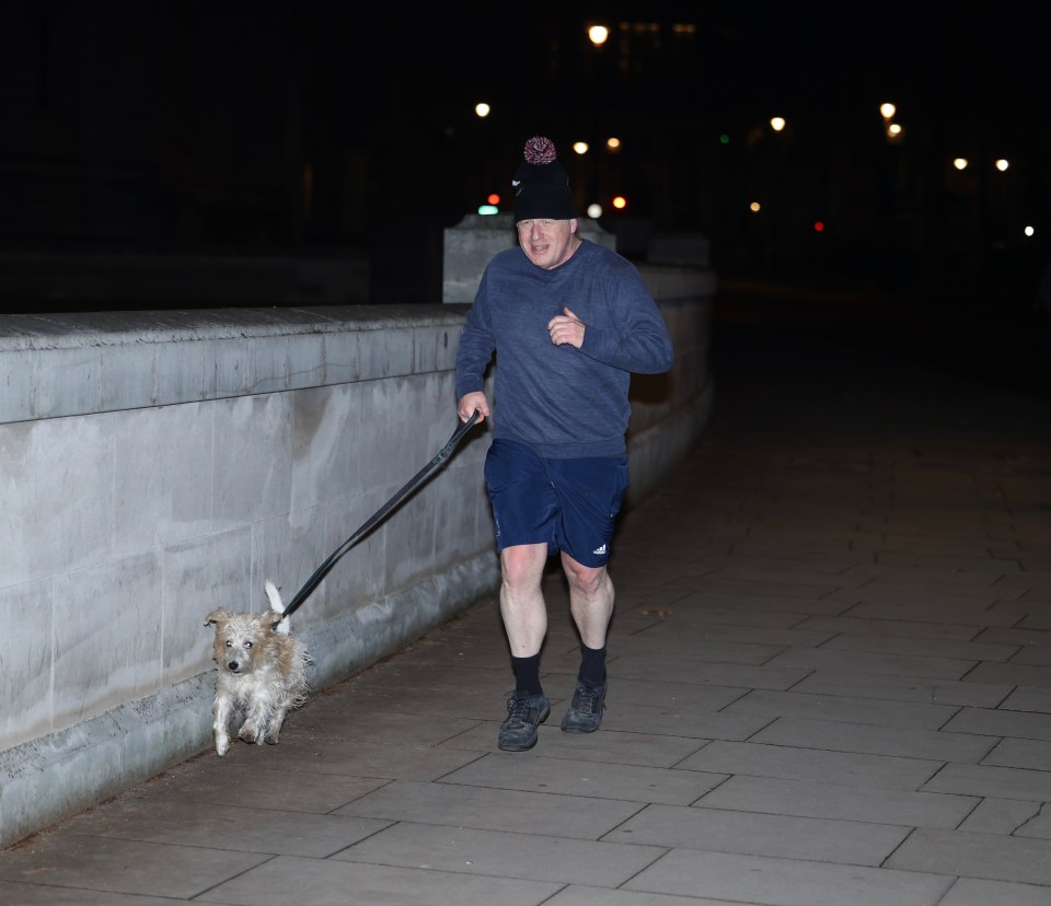 Mr Johnson running with dog Dilyn today ahead of a crunch Cabinet meeting