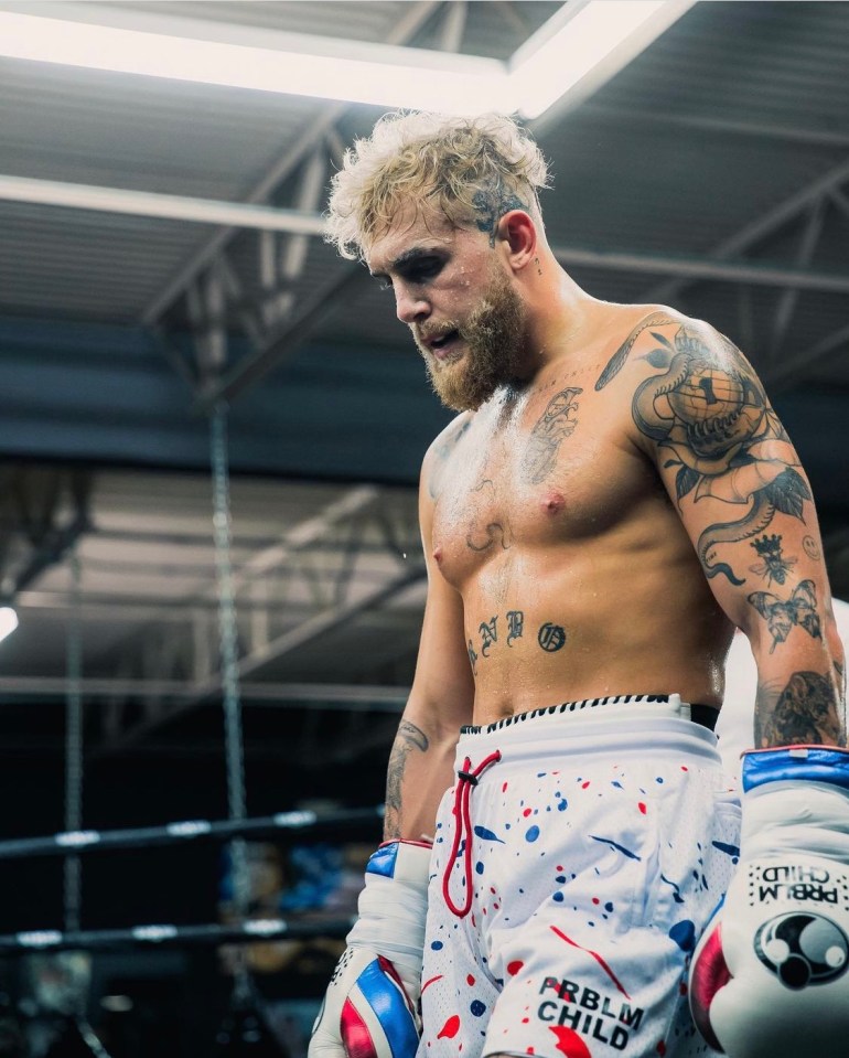 Jake Paul has been in talks to fight Julio Cesar Chavez Jr