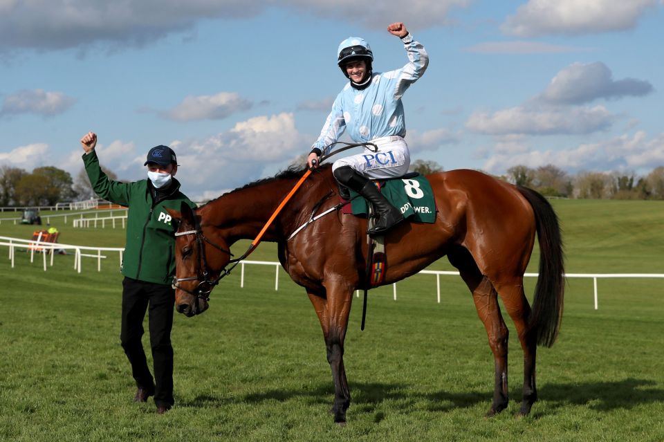 Henry De Bromhead's Honeysuckle is the one they all have to beat in the Champion Hurdle at Cheltenham