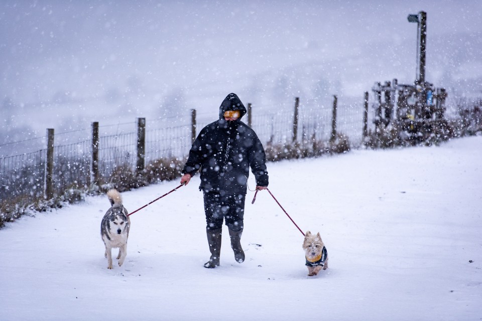 Brits have been warned to brace for the white stuff as the Arctic blast hits the UK