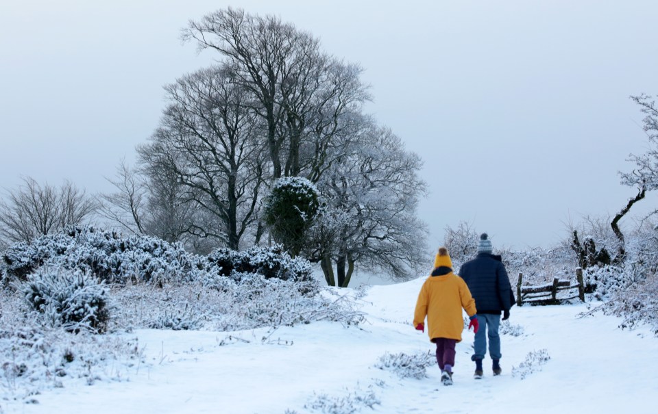 Experts suggest we will be in for the coldest February yet, with more snow on the way