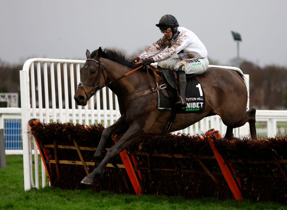 Constitution Hill is now favourite for the Supreme at Cheltenham with some bookies