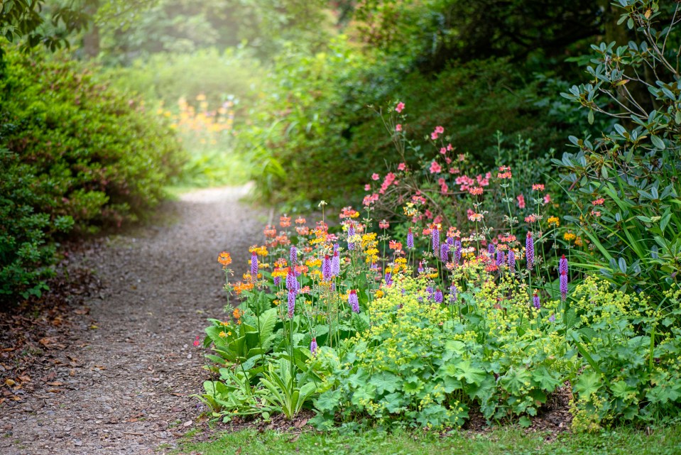 Growing a garden in the shade can be tricky but not impossible