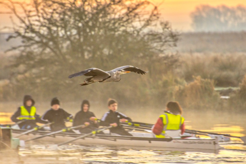 Rowers enjoyed a clear cold morning on the River Great Ouse in Ely, Cambridgeshire