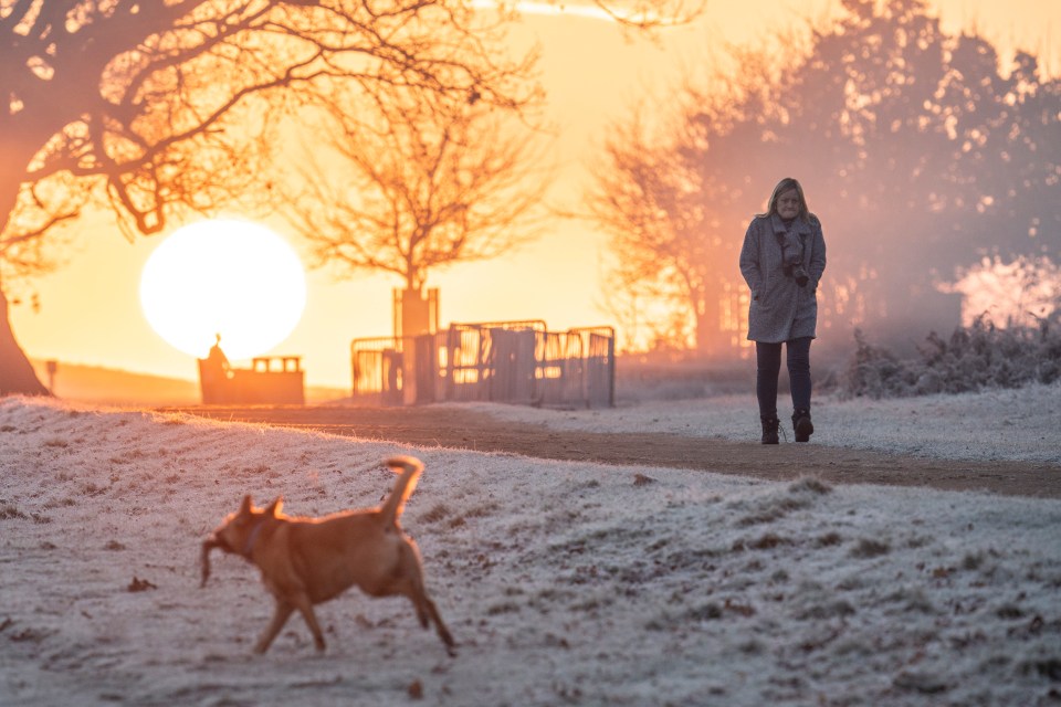 Winter is biting back - with freezing fog forcing visibility down to just 50mm today and plenty of snow forecast for the end of the month