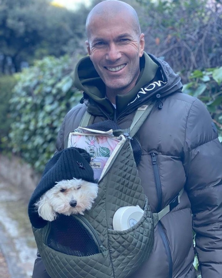 Zidane was snapped with the cute dog in his backpack