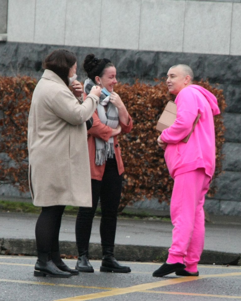 The Hindu ceremony took place in West Dublin